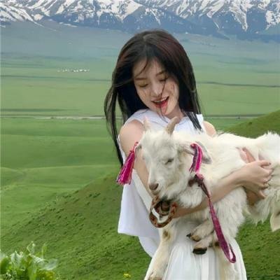 狼心狗肺海报