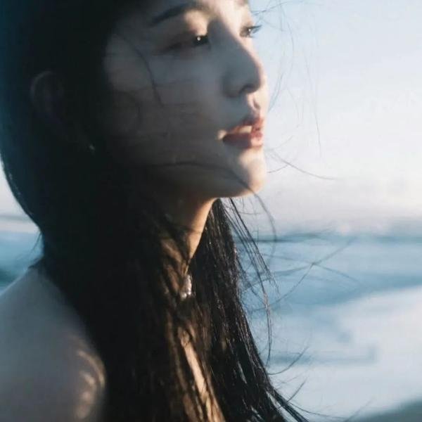 火之鸟772海报